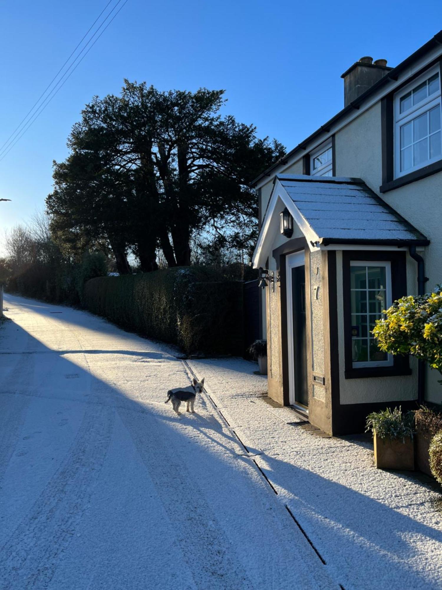 Old Mill House Bed & Breakfast Larne Bagian luar foto