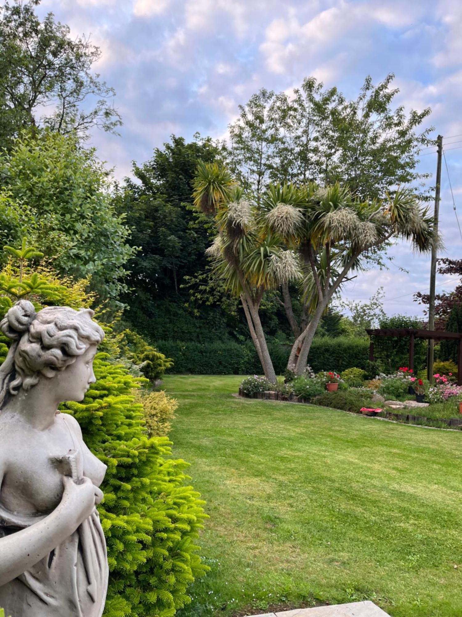 Old Mill House Bed & Breakfast Larne Bagian luar foto