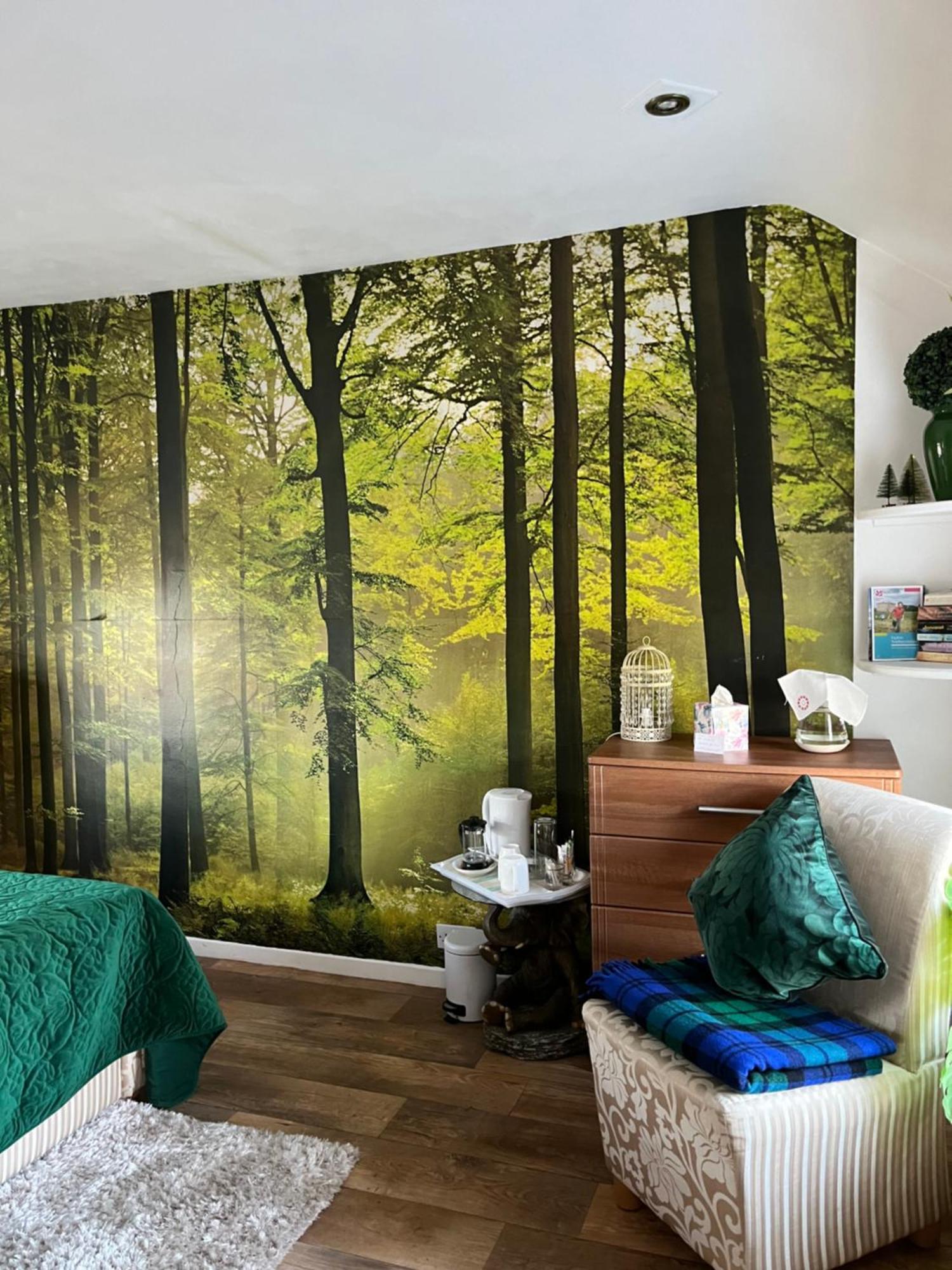 Old Mill House Bed & Breakfast Larne Bagian luar foto