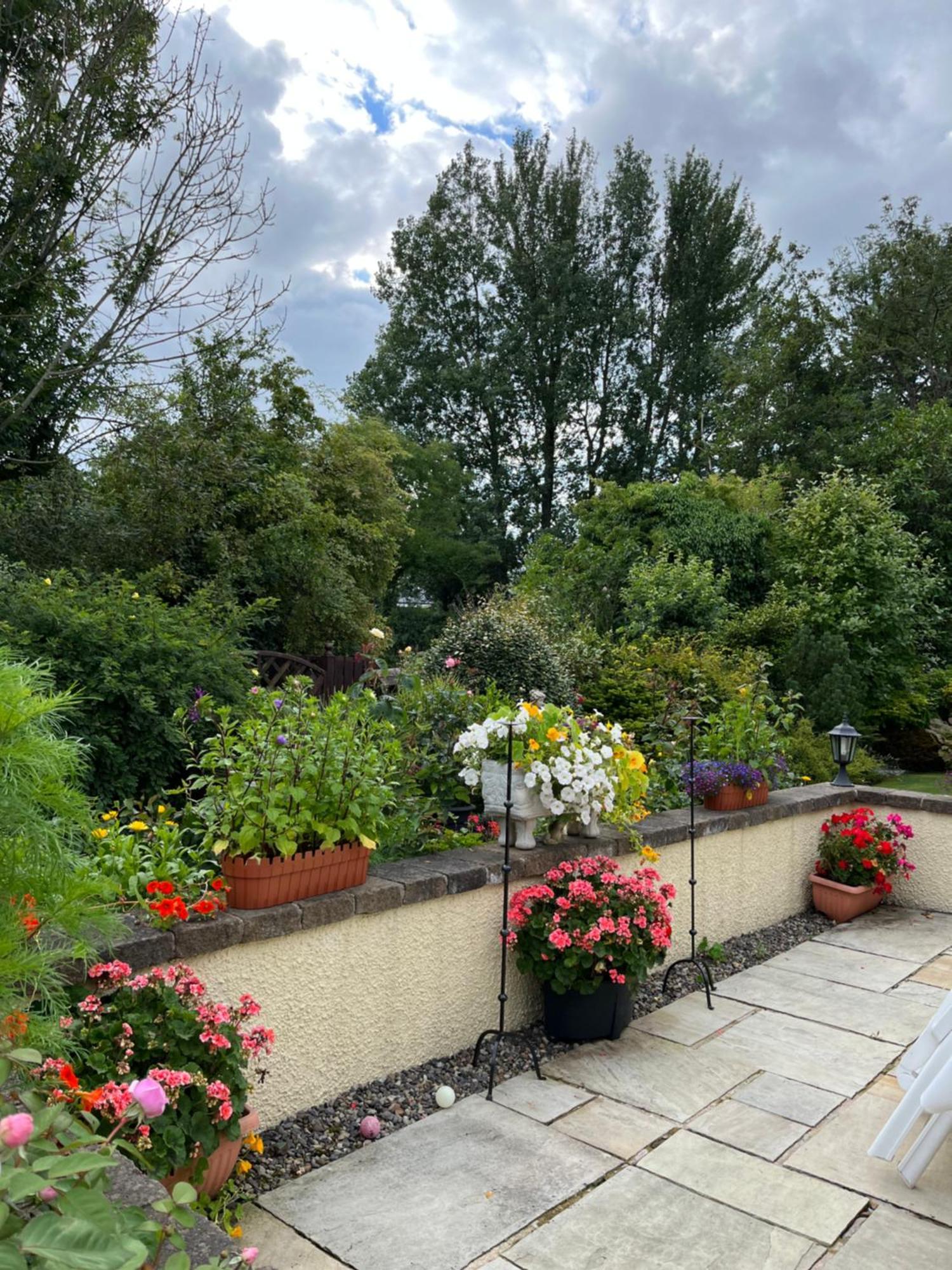 Old Mill House Bed & Breakfast Larne Bagian luar foto