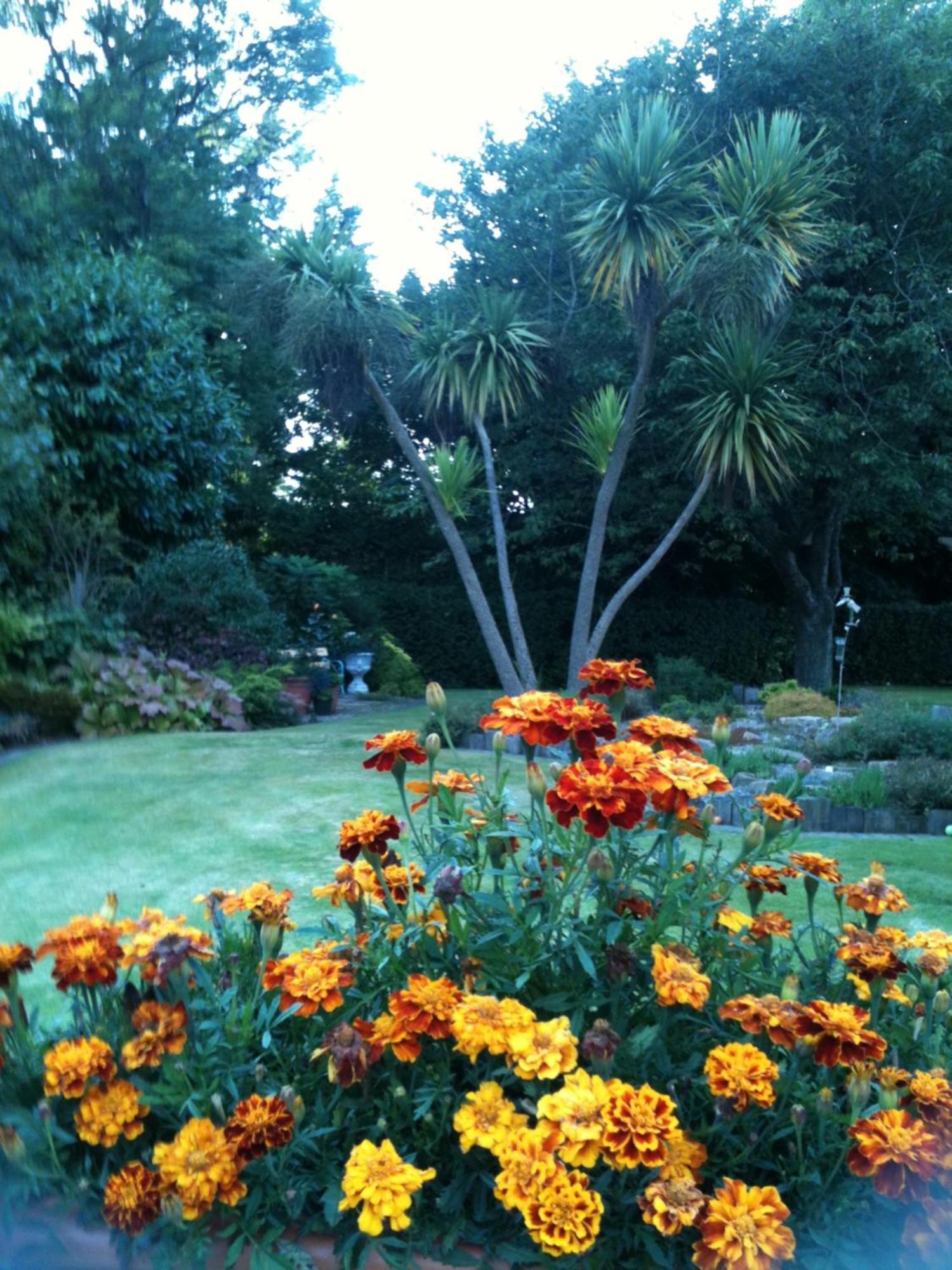 Old Mill House Bed & Breakfast Larne Bagian luar foto